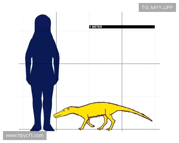 从单箭头到自由中锋：苏亚雷斯的战术进化路径